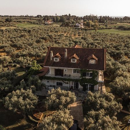 Villa Georgina B&B كاتاكولو المظهر الخارجي الصورة