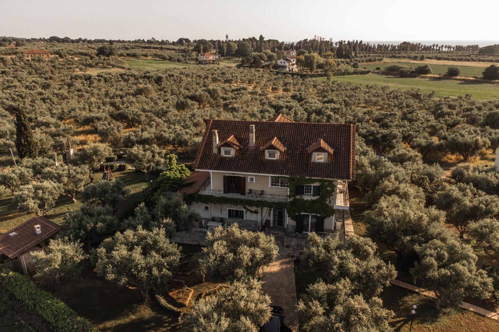 Villa Georgina B&B كاتاكولو المظهر الخارجي الصورة